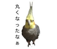 828374095