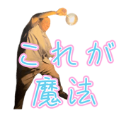 828376211