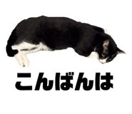 828376275