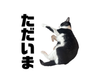 828376276