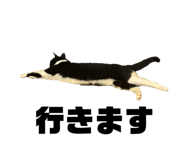828376280