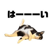 828376282