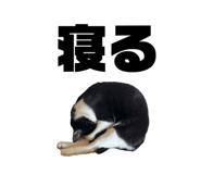 828376284