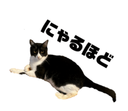 828376286