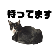 828376288