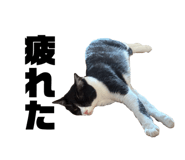 828376289