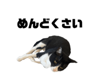 828376293