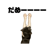 828376297