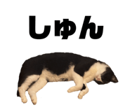 828376302