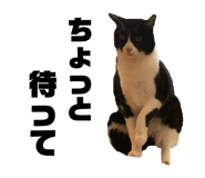 828376303