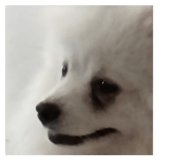 828381255