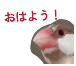 828384619