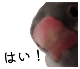 828384622