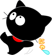 8284037