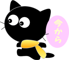 8284048