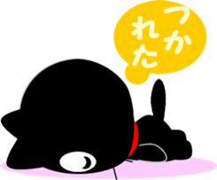 8284058