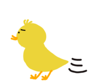 828414284