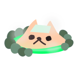 828419