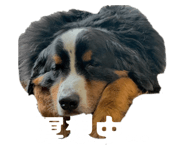 828446276