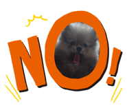 828447443