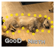 828448077