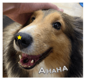 828448080