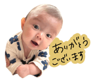 828455902