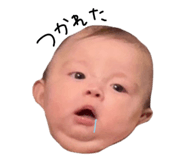 828455912