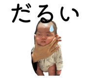 828455953