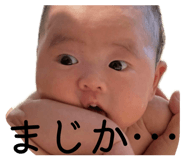 828455974