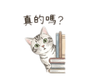 828458657