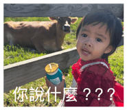 828459160