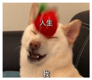 828462092