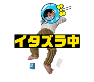 828462806