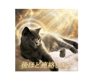 828464805