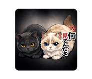 828464826