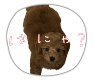 828465624