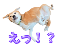 828467462