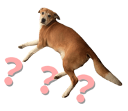 828467466
