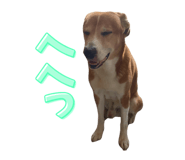 828467468
