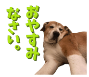 828467469