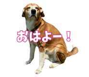 828467470