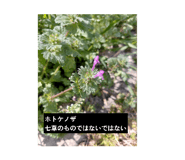828467730