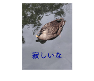 828467732