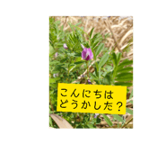 828467734