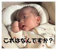 828470043