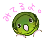828472623