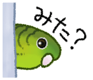 828472630