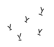 828472793