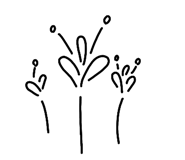 828472804